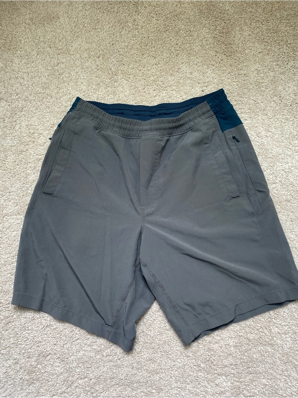Bird dogs swim trunks